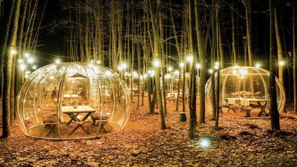 Garden igloo trasparenti in mezzo al bosco di notte